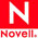 novel