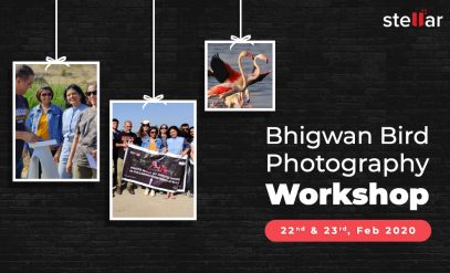 bhigwan-bird-photography-workshop-in-collaboration-with-Stellar-data-recovery