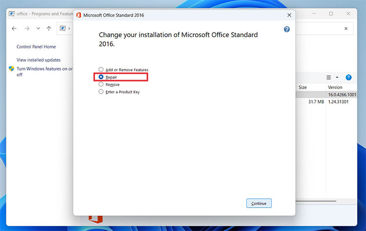 Microsoft Office Standard Installation