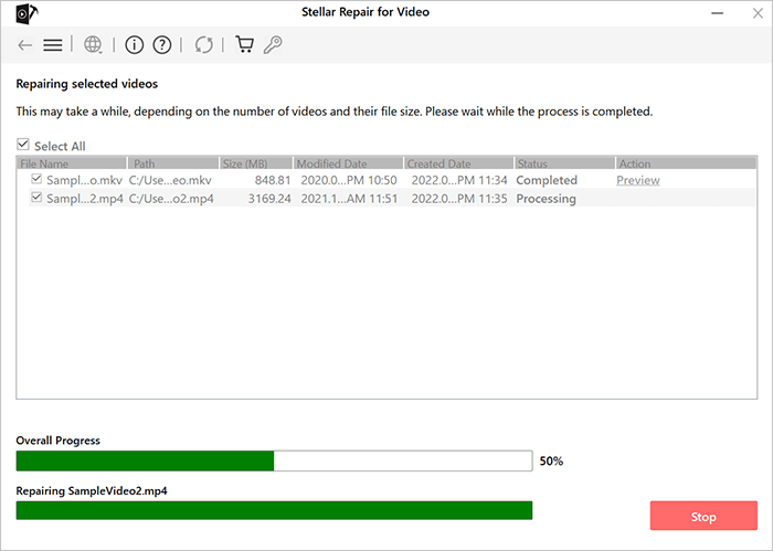 stellar video software