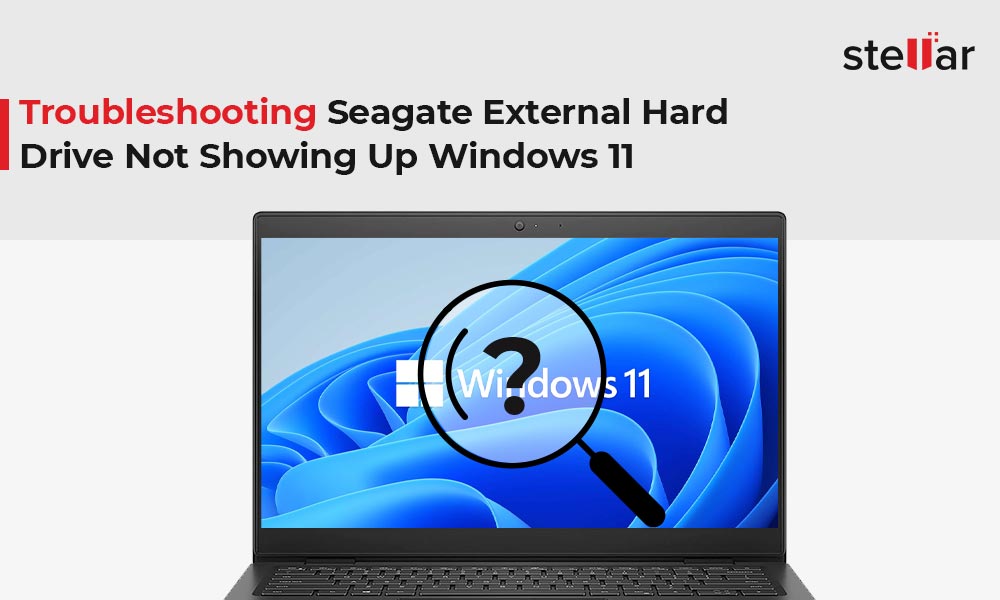 [Solved] Seagate External Hard Drive Not Showing Up Windows 11