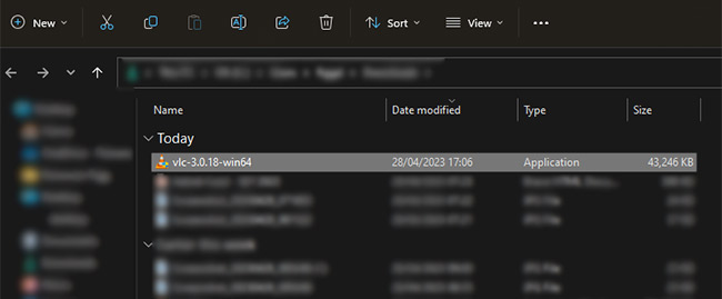 click-on-the-download-button