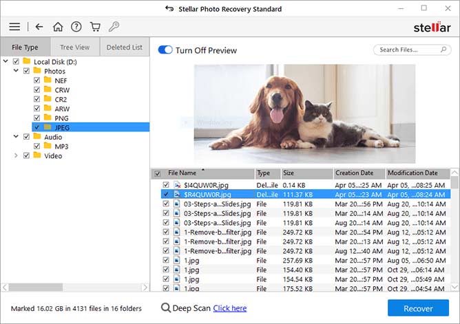 Preview the recoverable files