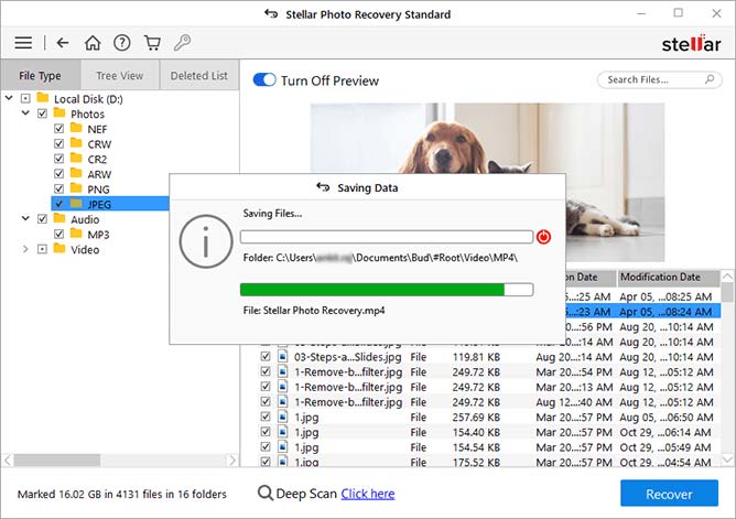 Select the files you want to recover