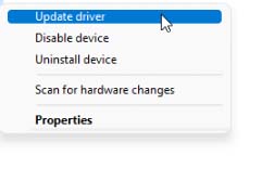 Click the Update driver