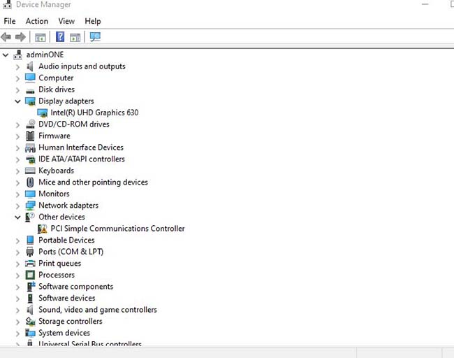 Display Adapters category