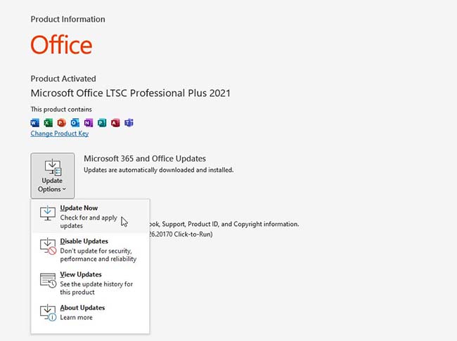 Open Outlook and go to the File- Office Account- Update Options