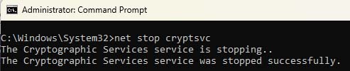 Run the command prompt as an administrator