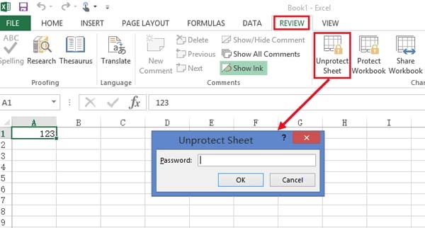 Check Worksheet Protection