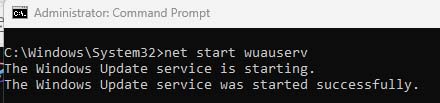 Type in “net start bits” without the quotation marks and press enter- Fix Error Code 0x800700d8