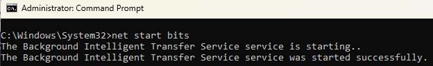 Type in “net start msiserver” without the quotation marks and press enter- Fix Error Code 0x800700d8 