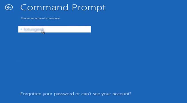 Instead of “startup repair”, this time, choose the “Command Prompt” option