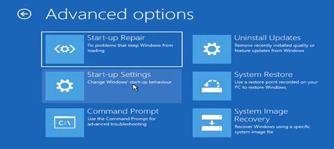 Once again, click on “advanced options