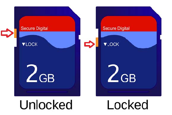 SD Card Not Storing Data