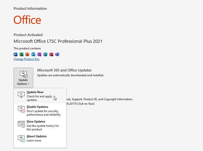 Click on Update Options and then from the options, choose Update Now