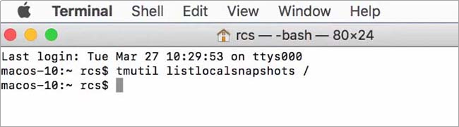 Type in _tmutil listlocalsnapshots_ without the quote marks_ and hit enter