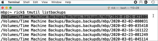 With your mouse_ highlight and select the Time Machine backups that you want to delete_ and copy them
