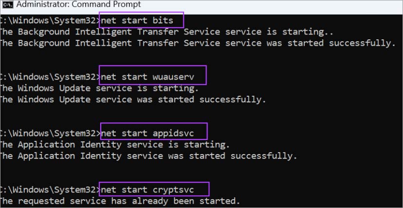 net-start-cryptsvc