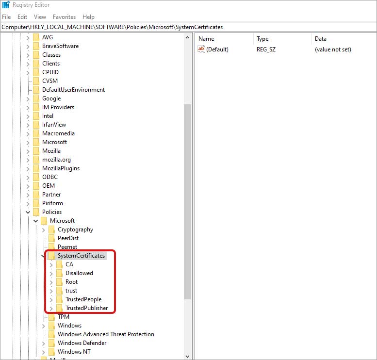 right-pane-of-the-SystemCertificates-key