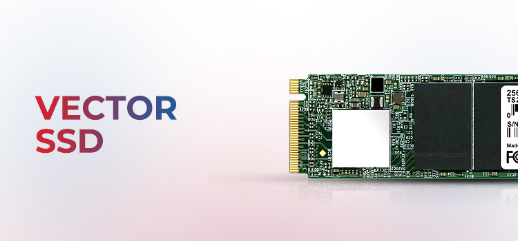 vector-ssd