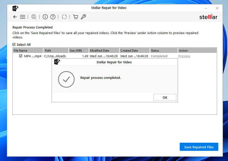 Stellar Repair For Video