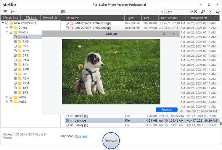 Stellar Photo Recovery Professional-Recover