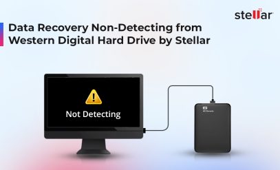 Data-Recovery-From-Non-Detecting-Western-Digital-Hard-Drive-by-Stellar
