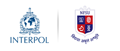 11th INTERPOL DFEG Meeting & 1st International Investigators' Summit 2026