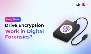 Stellar Data Recovery Article