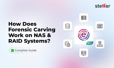 Stellar Data Recovery Article