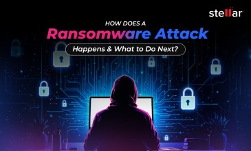 Stellar Data Recovery Article