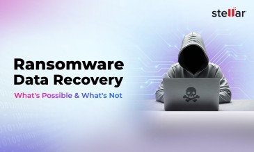 Stellar Data Recovery Article