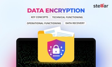 Stellar Data Recovery Article