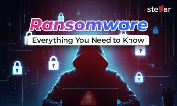 Stellar Data Recovery Article