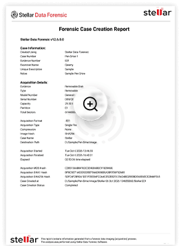 FORENSIC IMAGING REPORT