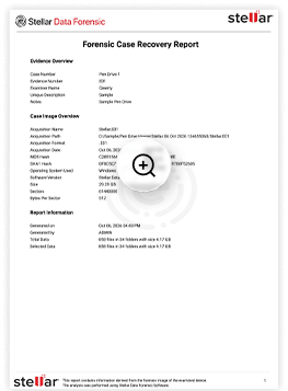BitRaser Sample Report