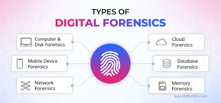 Types of Digital Forensics - Stellar