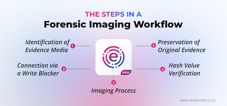 Steps in a Forensic Imaging Workflow