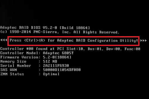 RAID Volume Failure