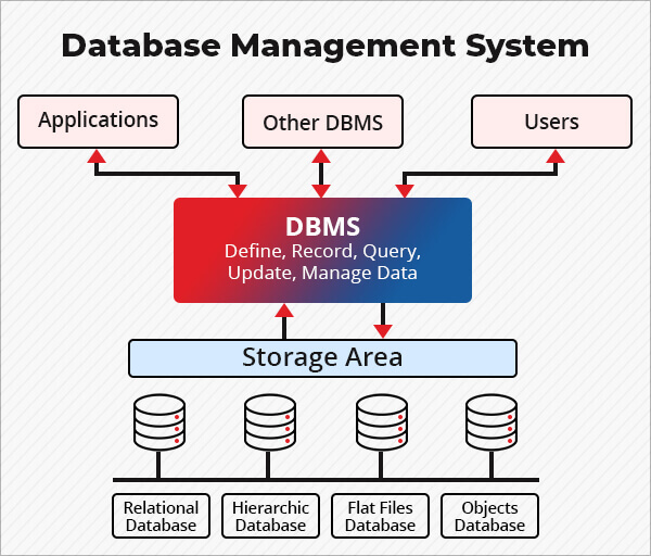 database management system database-management-system