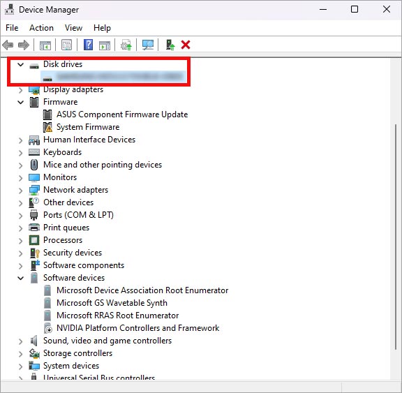 disk drives in device manager