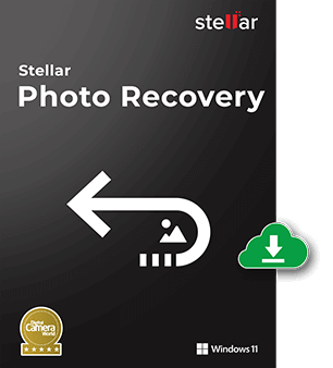 Stellar Data Recovery for Window