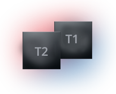 Data Recovery from T2/T1 Chip