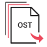 Converts Large-Sized OST File